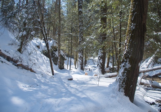 Rough Trail and Devil's Gulch